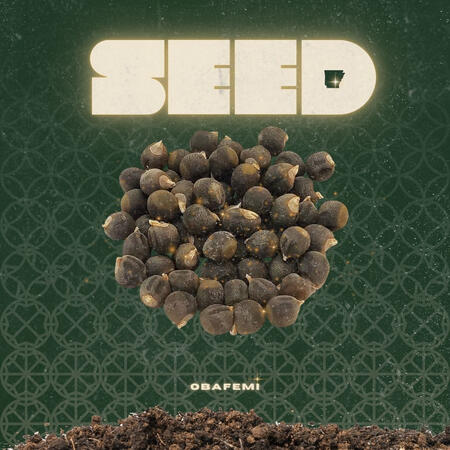 "They tried to bury me, but they didn't know I was a seed...". "They tried to bury me, but they didn't know I was a seed..."
